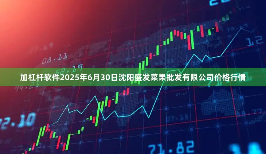 加杠杆软件2025年6月30日沈阳盛发菜果批发有限公司价格行情